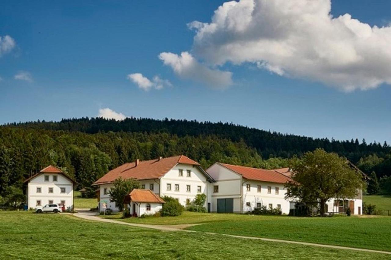 Appartamento Der Breinhof - Euer Urlaubsbauernhof Waldkirchen Esterno foto